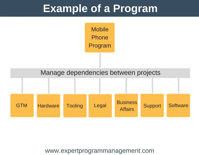 Difference Between Projects and Programs: Example of a Program