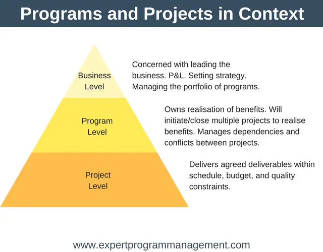 Difference Between Projects and Programs: Programs, Projects and the Business