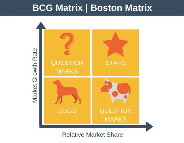 Image result for boston matrix