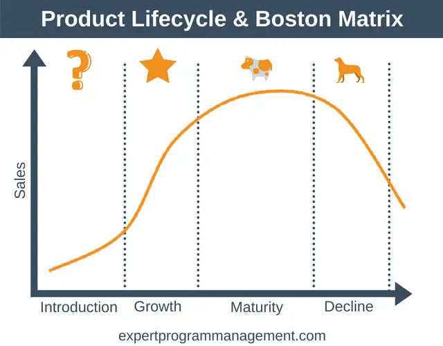 Product Lifecycle & Boston Matrix