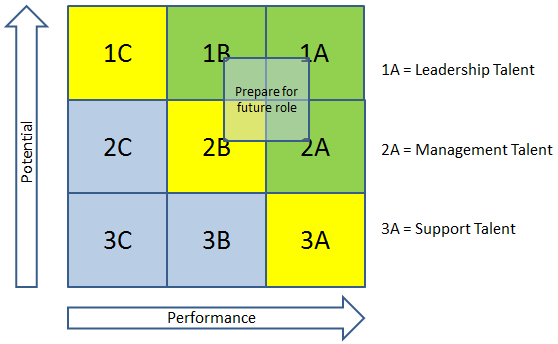 The Performance and Potential Matrix