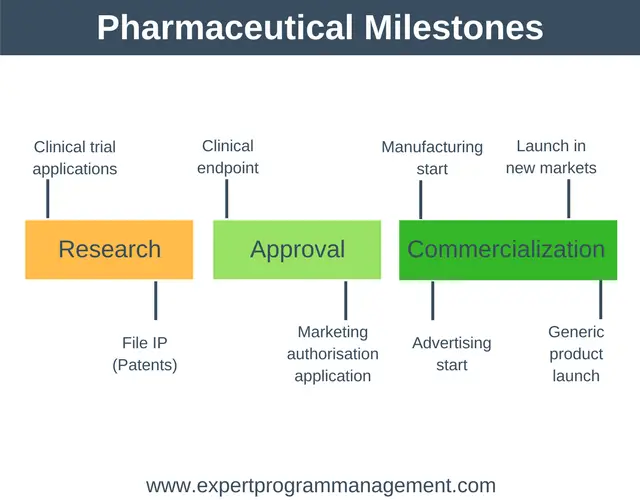 Gantt Chart Clinical Trial