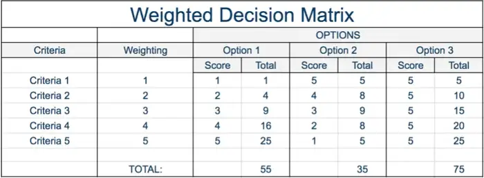 Example Weighted Decision Matrix