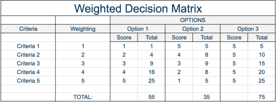 Example Weighted Decision Matrix Expert Program Management