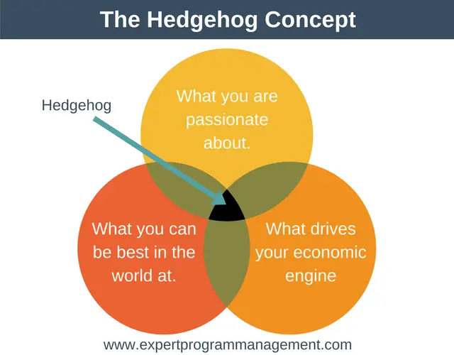 Hedgehog Concept