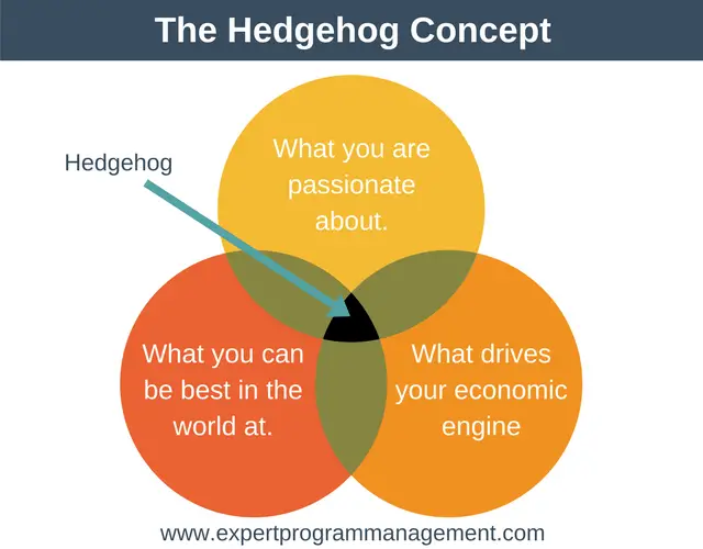 the-hedgehog-concept-strategy-training-from-epm