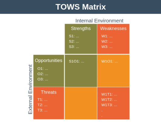 TOWS Matrix Analysis | Strategy Training from EPM