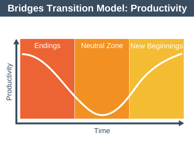 Bridges Transition Model Productivity