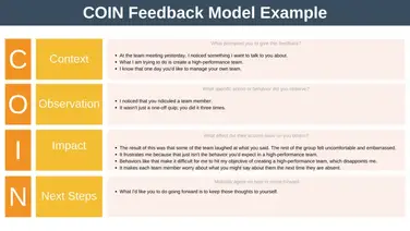 The COIN Feedback Model Explained