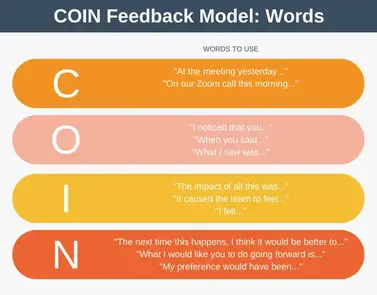 The COIN Feedback Model Explained