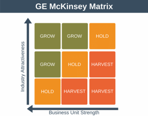 GE McKinsey Matrix 1