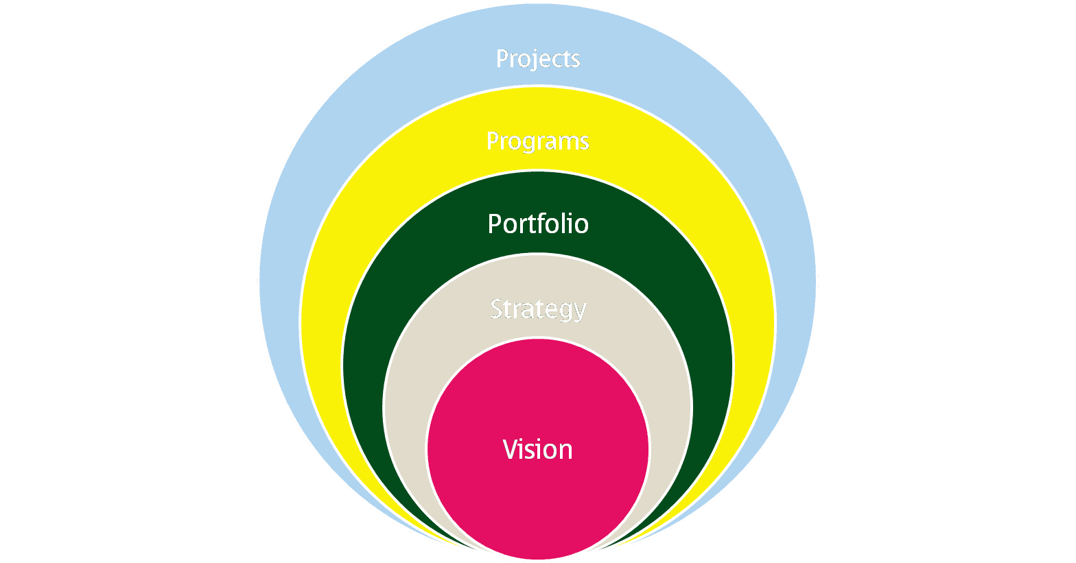 Programs in Context of the Organisation - Expert Program Management